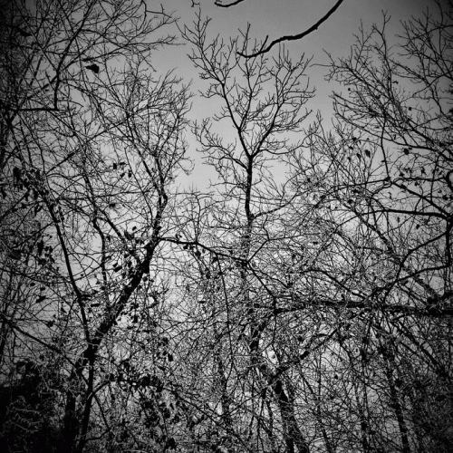 Mørk Hest : Unsound Despair